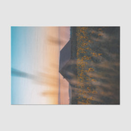 日没のひまわり畑に囲まれた納屋 薄葉紙