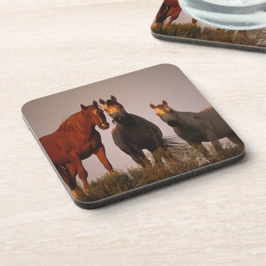 日没のアラビア人 コースター (左側)