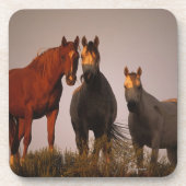 日没のアラビア人 コースター (正面)