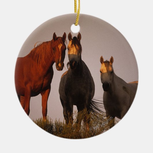 日没のアラビア人 セラミックオーナメント (正面)