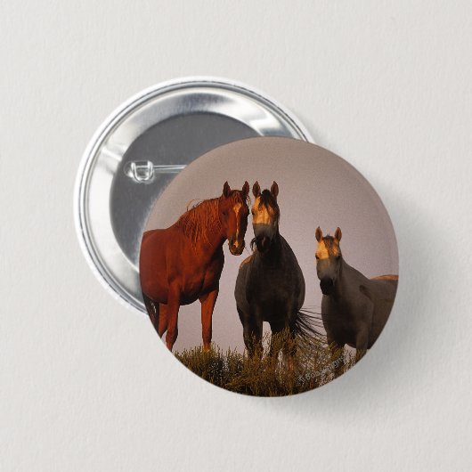 日没のアラビア人 缶バッジ (正面&裏面)