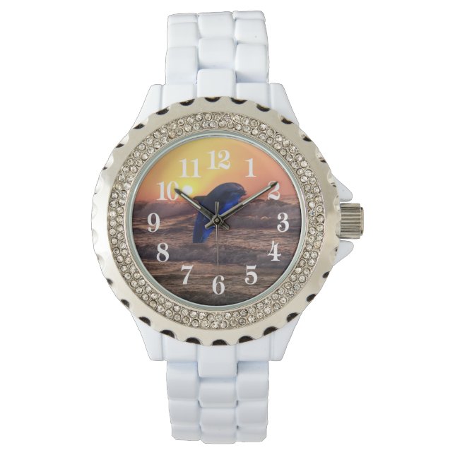 日没のイルカ 腕時計 (正面)