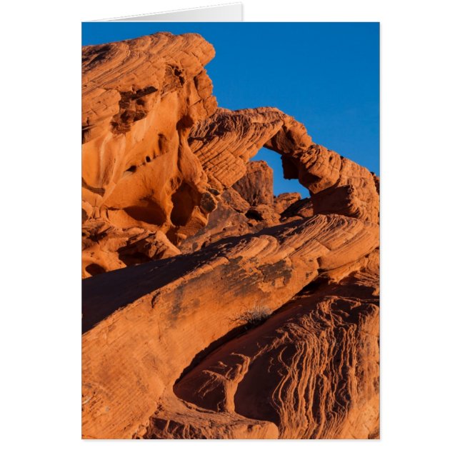 日没のインフェルノ (正面)