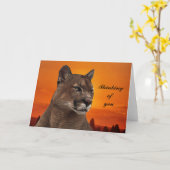 日没のオオヤマネコ カード (黄色い花)