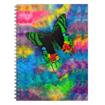 日没のガ6.5 x 8.75