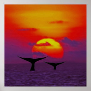 日没のクジラの尾 ポスター