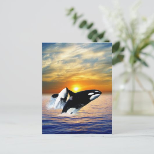 日没のクジラ ポストカード (スタンド正面)