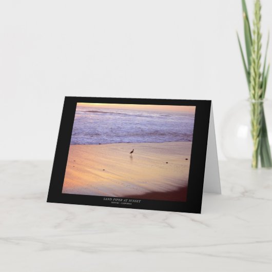 日没のシギ: ベントゥーラのビーチ カード (正面)