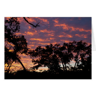 日没のシルエット