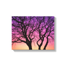 日没のツリーのシルエット – Canvas Print