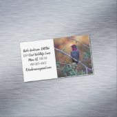 日没のハミングバード マグネット名刺 (インサイチュ)