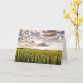 日没のヒマワリ カード (黄色い花)