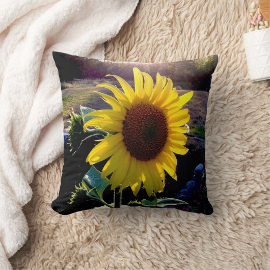日没のヒマワリ --- クッション (ブランケット)