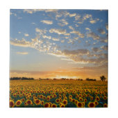 日没のヒマワリ タイル (正面)