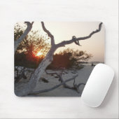 日没のビーチの流木 マウスパッド (マウス)