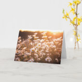 日没のフランスギク カード (黄色い花)