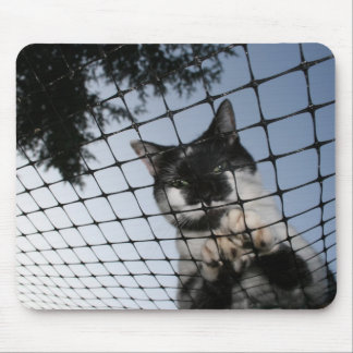 日没のマウスパッドで猫に耐えて下さい マウスパッド