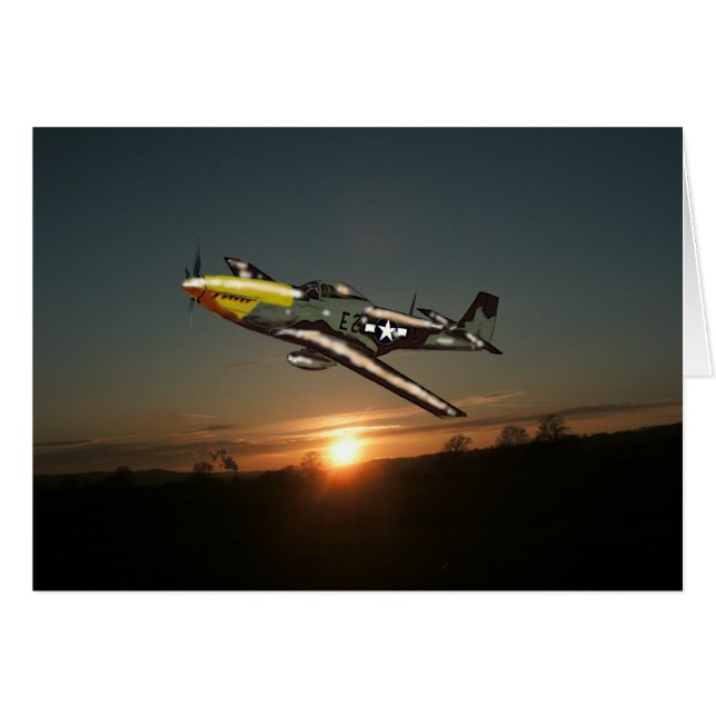 日没のムスタング (正面横)