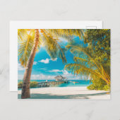 日没のヤシの木 ポストカード (正面/裏面)