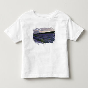 日没のラベンダー分野 トドラーTシャツ