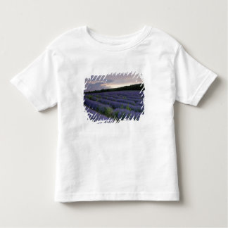 日没のラベンダー分野 トドラーTシャツ
