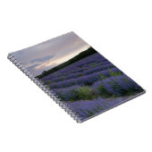 日没のラベンダー分野 ノートブック (右側)