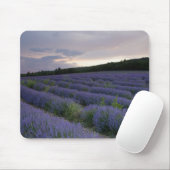 日没のラベンダー分野 マウスパッド (マウス)