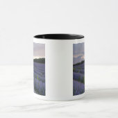 日没のラベンダー分野 マグカップ (中央)