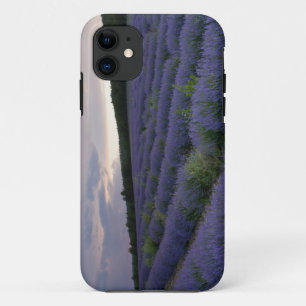 日没のラベンダー分野 iPhone 11 ケース