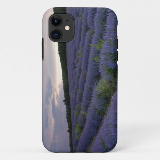 日没のラベンダー分野 Case-Mate iPhoneケース (裏面)