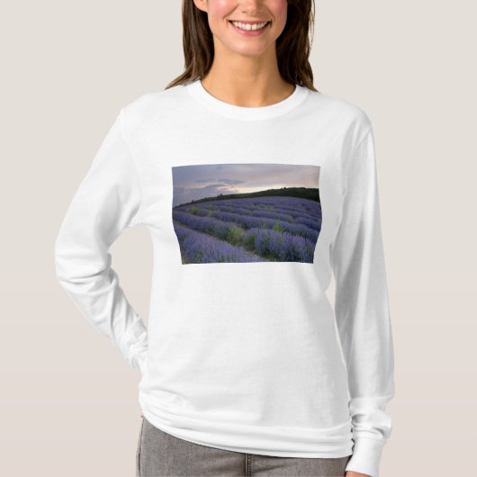 日没のラベンダー分野 Tシャツ (正面)