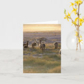 日没のラマ僧 カード (黄色い花)