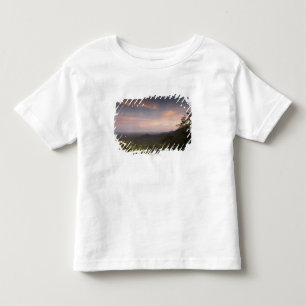 日没の下の景色 トドラーTシャツ