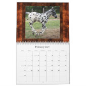 日没の丘のAPPALOOSAS (修正される) カレンダー (2月 2027)