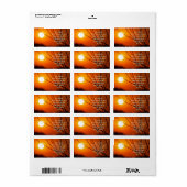 日没の停止 ラベル (フルシート)