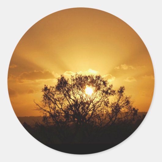 日没の光 ラウンドシール (正面)
