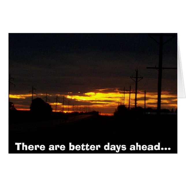 日没の写真 (正面横)