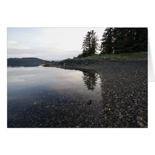 日没の反射 (正面横)