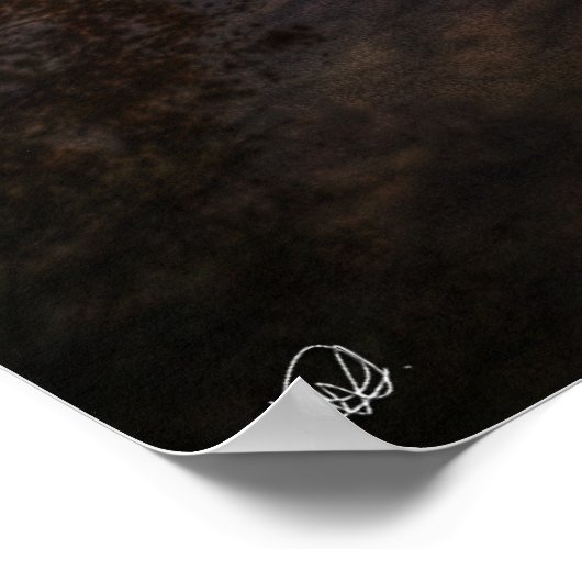 日没の反射 ポスター (角)