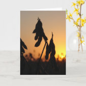 日没の大豆 カード (黄色い花)