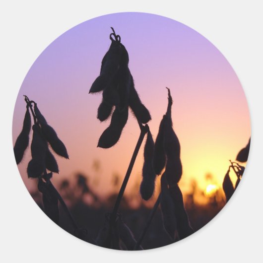 日没の大豆 ラウンドシール (正面)