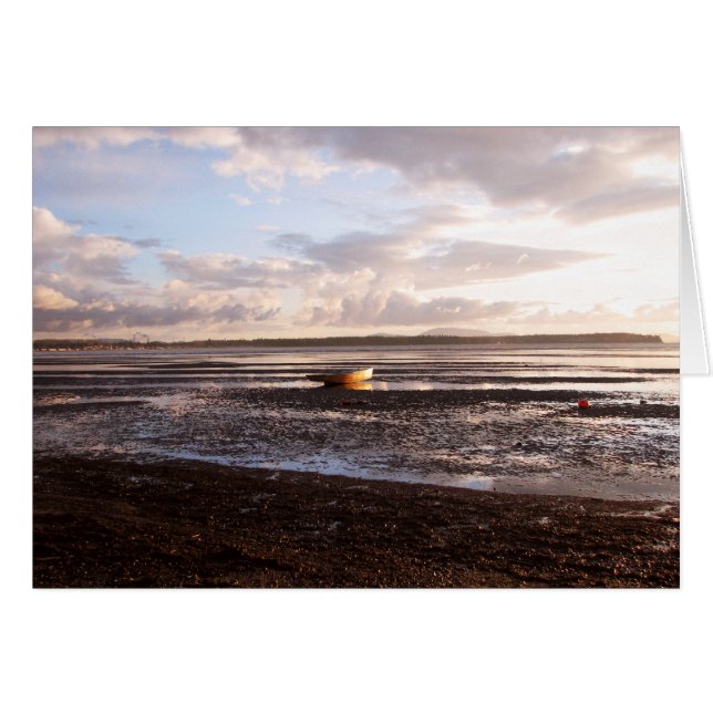 日没の干潮 (正面横)