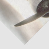 日没の幽霊アヴィエーター – ヴィンテージデコパージュ 薄葉紙 (詳細)