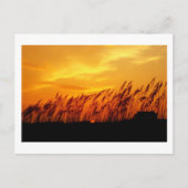 日没の日 ポストカード (正面)