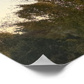 日没の木のポスター ポスター (角)