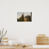 日没の木のポスター ポスター (キッチン)