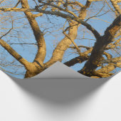 日没の木の包装紙 ラッピングペーパー (角)