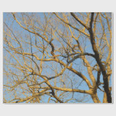 日没の木の包装紙 ラッピングペーパー (フラット)