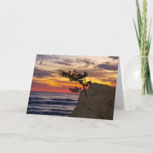 日没の木の父の日 カード