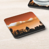 日没の木 コースター (左側)